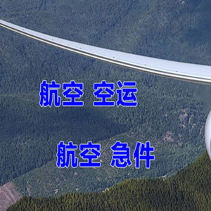 莎车叶尔羌航空托运快递-选东方航空和上海航空