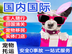 莎车叶尔羌航空托运国际宠物托运 【国